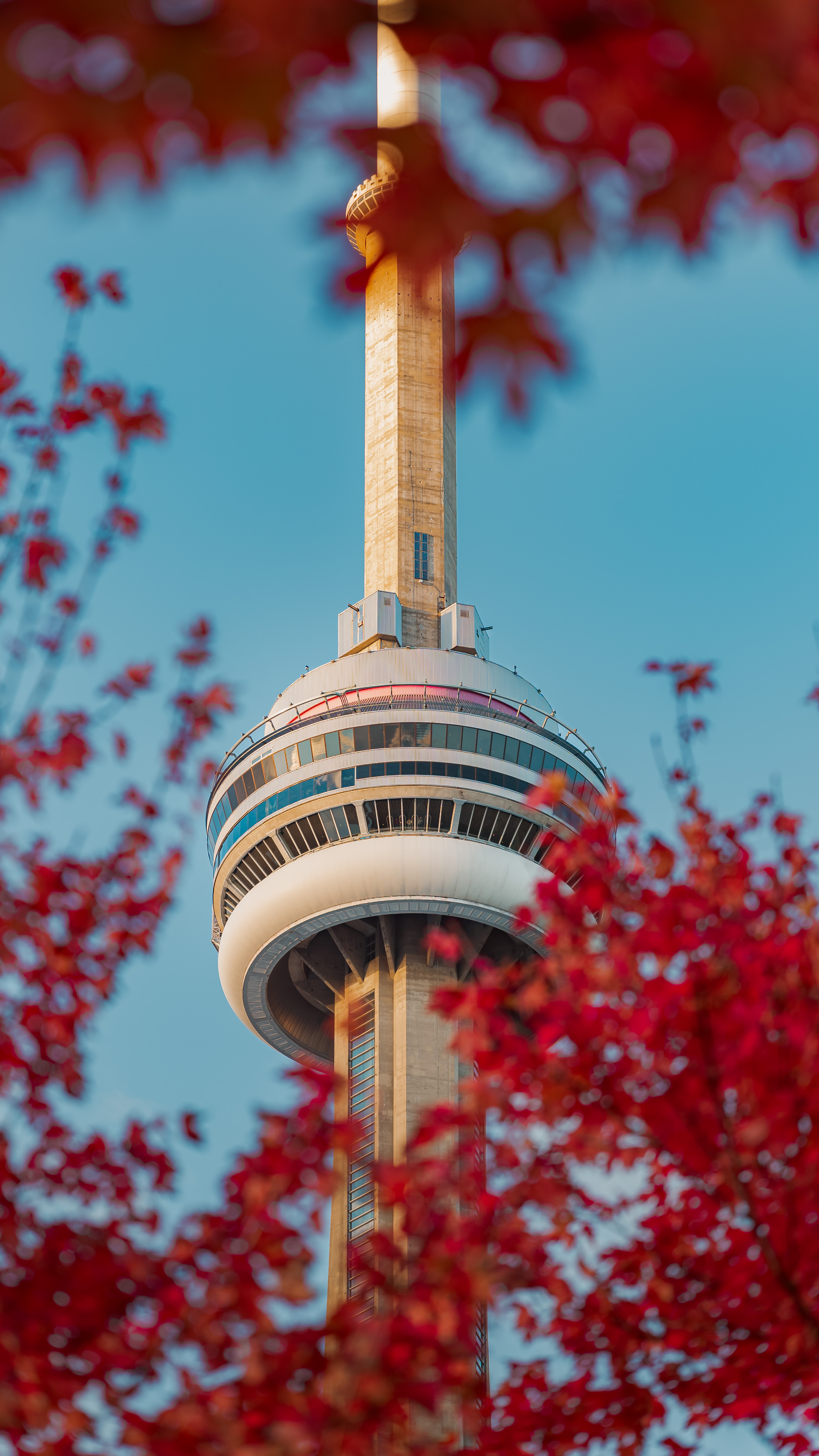 Tower